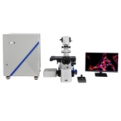 Конфокальный микроскоп Bestscope BCF-295