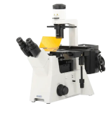 Флуоресцентный микроскоп OPTO-EDU A16.2702-4i