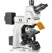 Флуоресцентный микроскоп Nexcope NE930-FL
