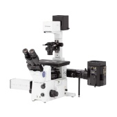 Люминесцентный микроскоп Olympus IX81