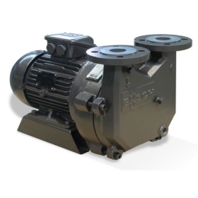 Моноблочный водокольцевой вакуумный насос Busch Dolphin LX 180 B