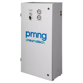 Генератор азота мембранный Pneumatech PMNG 1