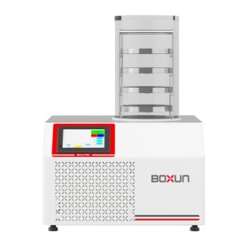 Лиофильная сушка BOXUN BLG-12T