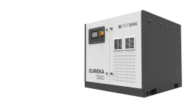 Масляный винтовой вакуумный насос ERSTEVAK EUREKA 3000