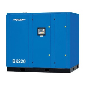 Винтовой компрессор Ремеза ВК40-13ДВС