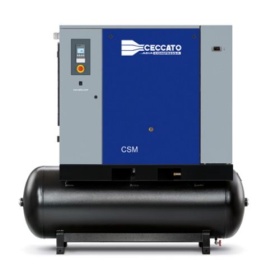 Винтовой компрессор с осушителем Ceccato CSM 21-13 500